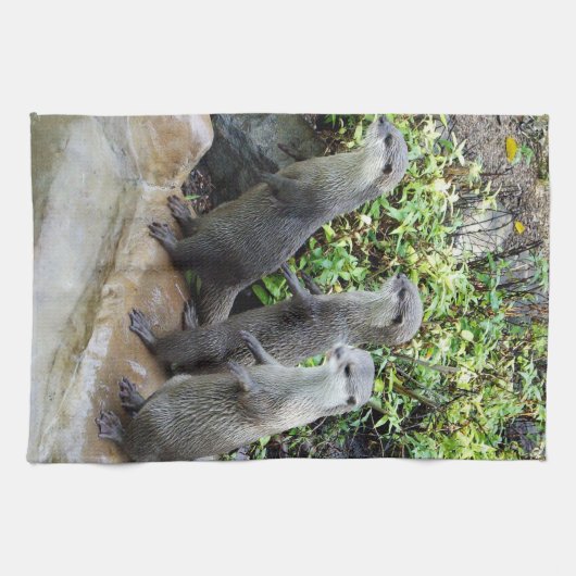 Drei Wischtücher, Teetücher Geschirrtuch (Horizontal)