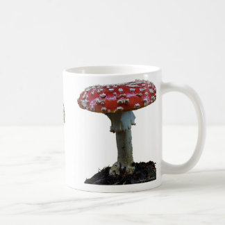 Drei Wulstlings-Pilz-Tasse Kaffeetasse