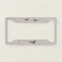 Drei Wüstenechsen auf Sidewalk