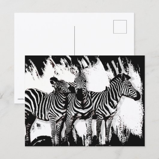 Drei Zebras beim Malen Postkarte (Vorne/Hinten)