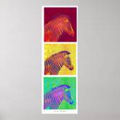 drei Zebras Poster (Vorne)