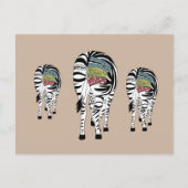 Drei Zebras Postkarte (Vorderseite)