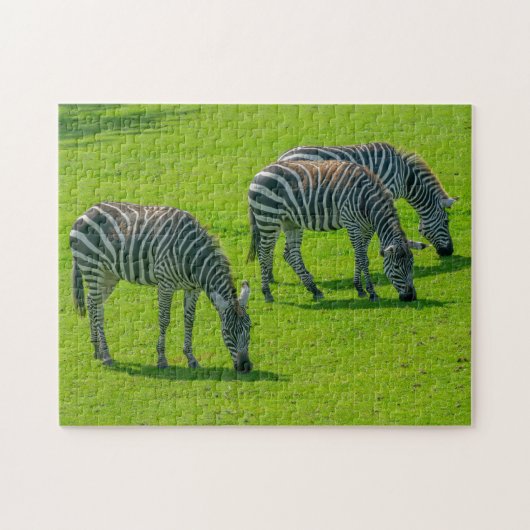 Drei Zebras Puzzle (Horizontal)