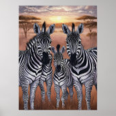 Drei Zebras-Weiden auf der Wiese Poster (Vorne)