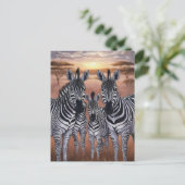 Drei Zebras-Weiden auf der Wiese Postkarte (Stehend Vorderseite)