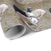 Drei Ziegen Geschenkpapier (Rolleneckpunkt)