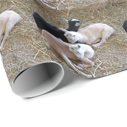 Drei Ziegen Geschenkpapier (Rolleneckpunkt)