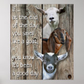 Drei Ziegen Portrait - Niedlich riechen wie eine Z Poster (Vorne)