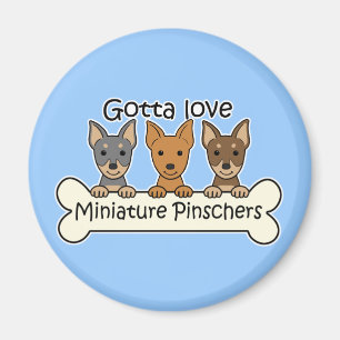 Drei Zwergpinscher Magnet