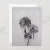 Dreiblatt Postkarte (Vorne/Hinten)