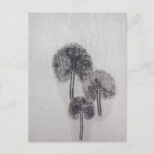 Dreiblatt Postkarte (Vorderseite)