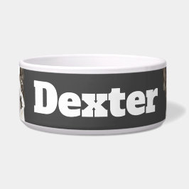 Dreieck Boston Terrier Napf