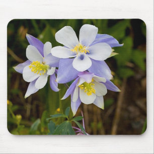 Dreiergruppen und neue Blüte Mousepad