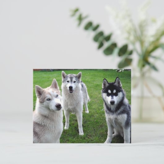 dreierlei postkarte (Stehend Vorderseite)