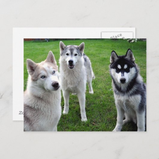 dreierlei postkarte (Vorne/Hinten)