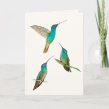 Dreifaltigkeits-Grußkarte mit Kolibris