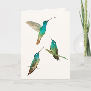 Dreifaltigkeits-Grußkarte mit Kolibris Karte