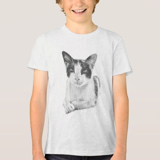 Dreifarbenkatze Halftone Tri-Blend Shirt (Vorderseite)