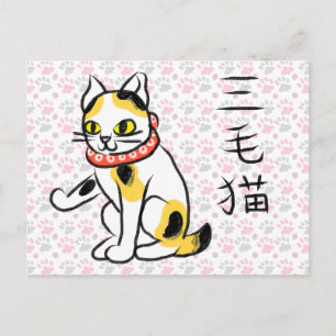 Dreifarbenkatze Kanji Japanische Kalligrafie Postk Feiertagspostkarte