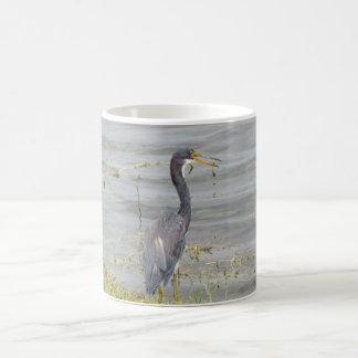 Dreifarbenreiher-Wildlife-Fotografie-Kaffeetasse Kaffeetasse