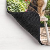 Dreifarbige Katze auf einem Hocker im Gewächshaus Mousepad (Ecke)