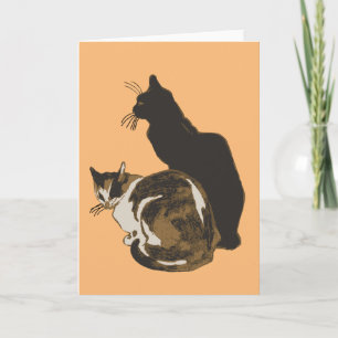 Dreifarbige Schildpatt- und schwarze Katze Karte