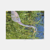 Dreifarbiger Reiher watet im Sumpf Fleecedecke (Vorderseite (Horizontal))