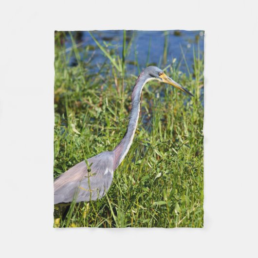Dreifarbiger Reiher watet im Sumpf Fleecedecke (Vorderseite)
