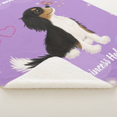 Dreifarbiges Cavalier-Design    Sherpadecke (3/4)