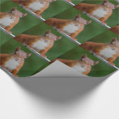 Dreifarbiges Eichhörnchenwackelpapier Geschenkpapier (Ecke)