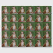 Dreifarbiges Eichhörnchenwackelpapier Geschenkpapier (Flach)