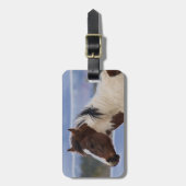 Dreifarbiges Pferd Gepäckanhänger (Vorderseite vertikal)