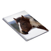 Dreifarbiges Pferd Notizblock (Rechte Seite)