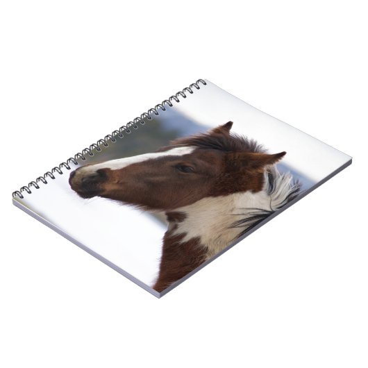 Dreifarbiges Pferd Notizblock (Linke Seite)