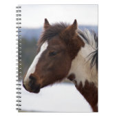 Dreifarbiges Pferd Notizblock (Vorderseite)