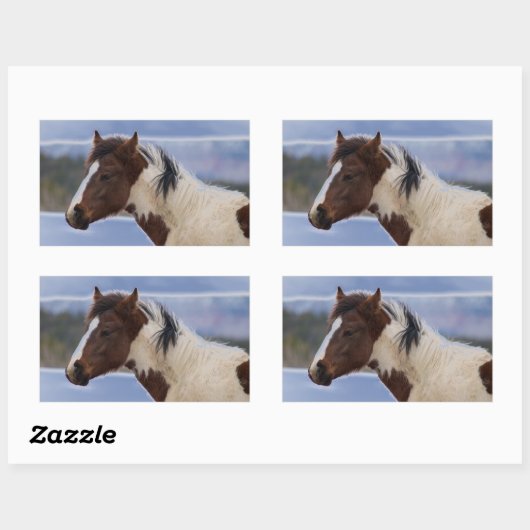 Dreifarbiges Pferd Rechteckiger Aufkleber (Blatt)