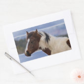 Dreifarbiges Pferd Rechteckiger Aufkleber (Umschlag)