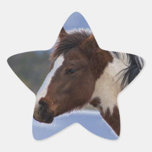 Dreifarbiges Pferd Stern-Aufkleber