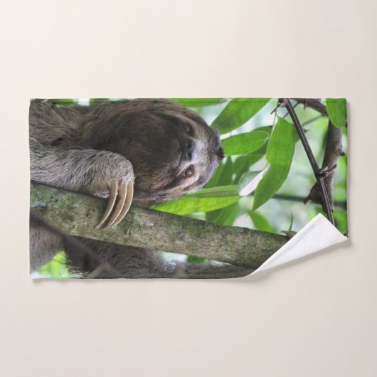 Dreifingerhase Handtuch (Handtuch)