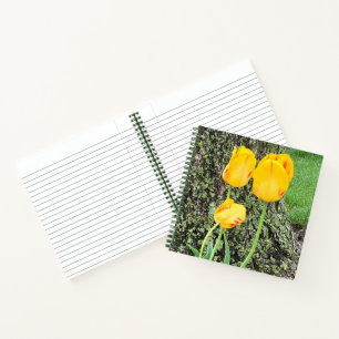 Dreigelbe Tulips / Journal Notizblock