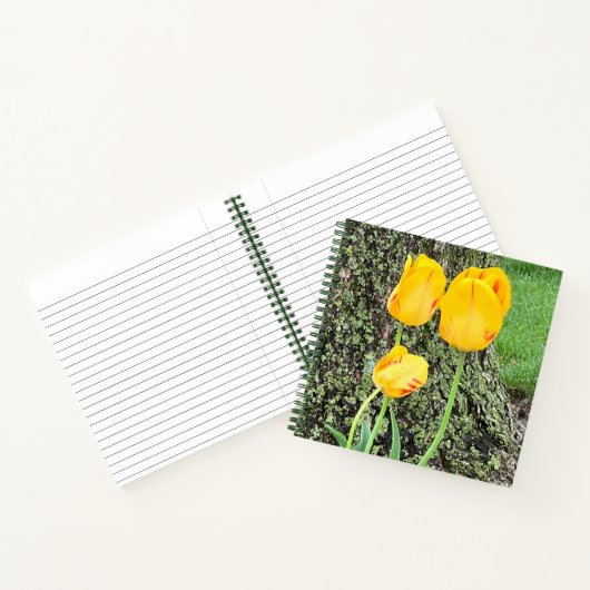 Dreigelbe Tulips / Journal Notizblock (Innenseite)