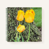 Dreigelbe Tulips / Journal Notizblock (Vorderseite)