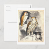 Dreimal-Nacht-Illustration Postkarte (Vorne/Hinten)
