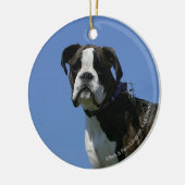 Dreimonatiges Baby Boxer-Welpe Keramikornament (Links)