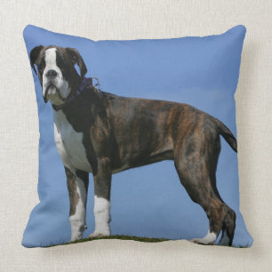 Dreimonatiges Baby Boxer-Welpe Kissen