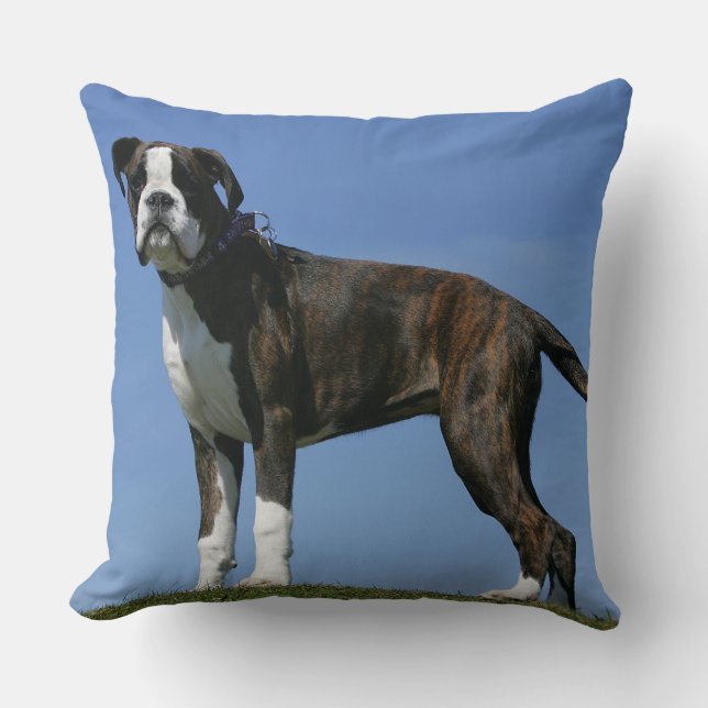 Dreimonatiges Baby Boxer-Welpe Kissen (Vorderseite)