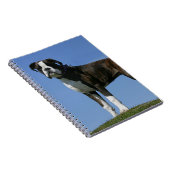 Dreimonatiges Baby Boxer-Welpe Notizblock (Rechte Seite)