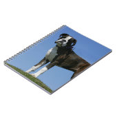 Dreimonatiges Baby Boxer-Welpe Notizblock (Linke Seite)