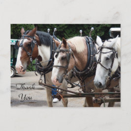 Dreimonatpferd Vielen Dank Postkarte