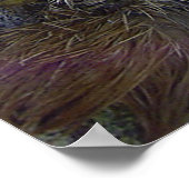 Dreischneider Poster (Ecke)